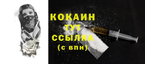 2c-b Горнозаводск
