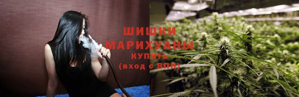 2c-b Горнозаводск