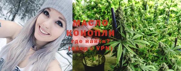 2c-b Горнозаводск