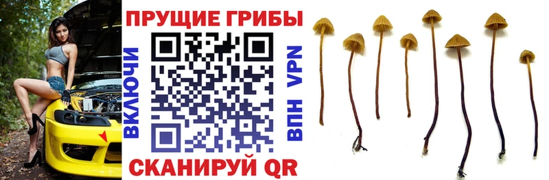 Галлюциногенные грибы мухоморы  Игра 